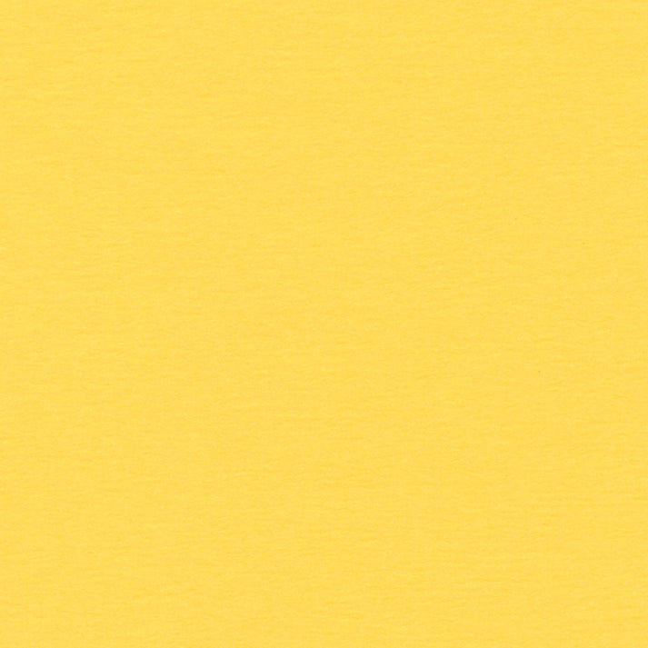 4-Ply Yellow Shades