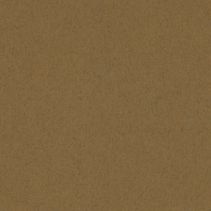 4-Ply Brown Shades